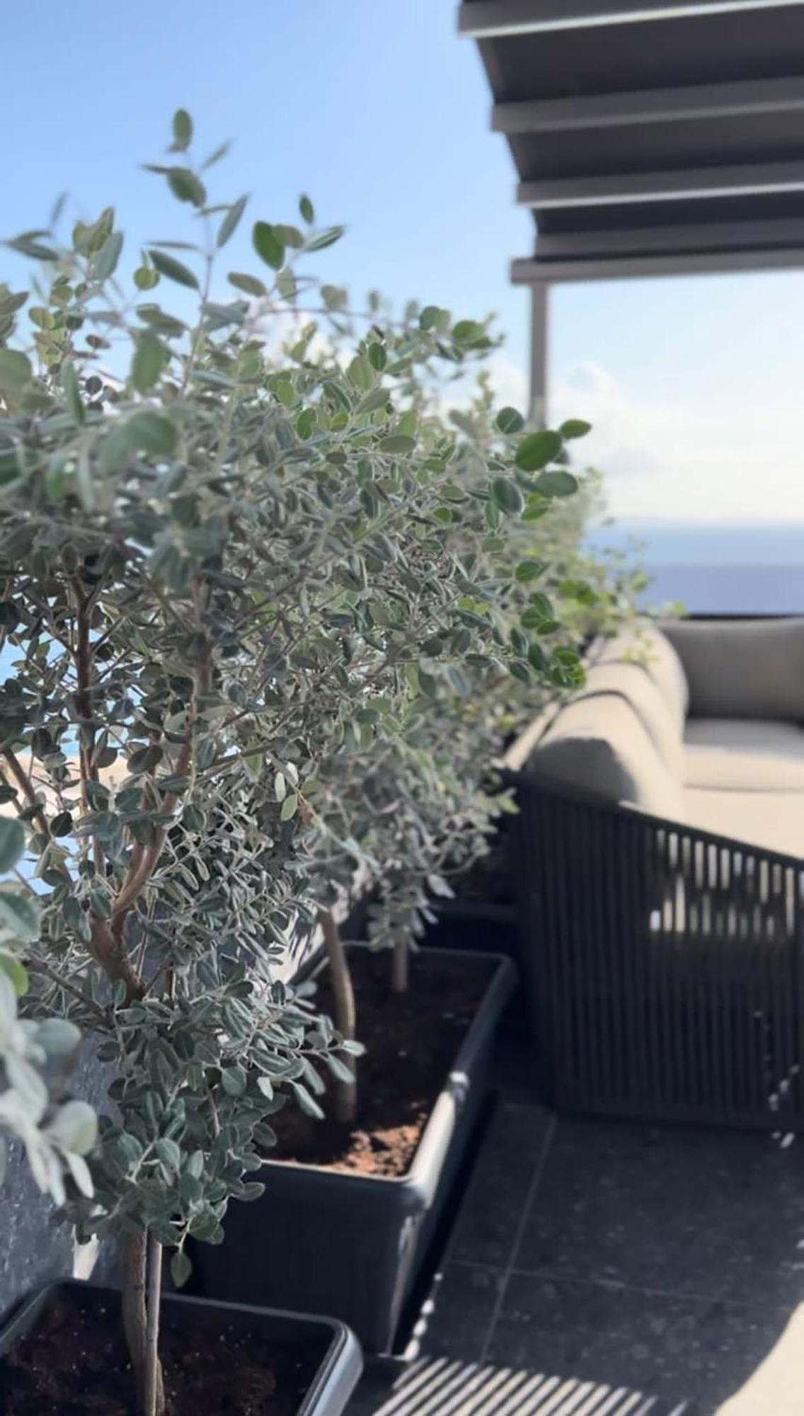 Ansel Home Sarande Luaran gambar
